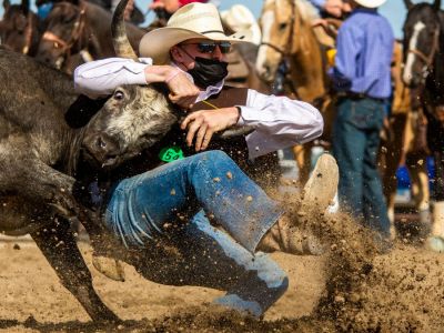 A University of Wyoming bulldogger attempts to bring down his steer, Saturday, Sept. 12, 2020, during the Chadron State College rodeo at the Dawes County Fairgrounds in Chadron, Nebraska. (Brandon Davenport |  The Eagle, Chadron, Nebraska)