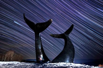 The constellation Orion, along with millions of other stars, wheel overhead in a transit that took three hours, 300 exposures, and one very chilly photographer, to capture in Randolph Center during Sunday night’s new moon. (Published Feb. 27, 2020). (Dylan Kelley | The Herald of Randolph (Vermont))